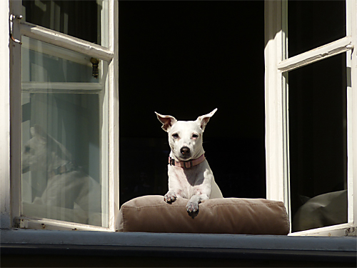 Lieblingsorte - April 2021